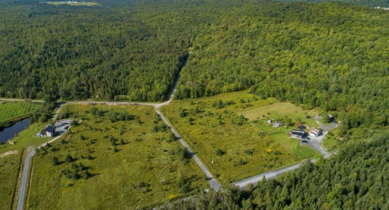 Adstock (Chaudières-Appalaches) : Érablière bio
