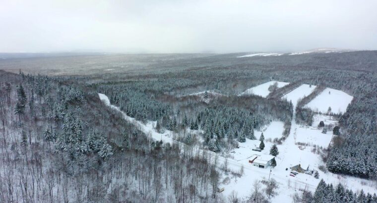 Audet (Estrie) : Domaine de 152 acres, érablière